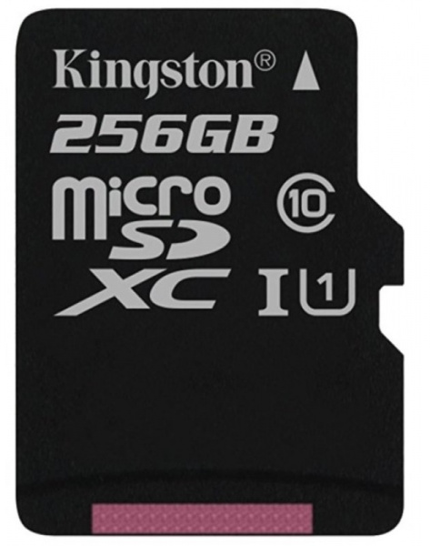 Карта памяти Kingston microSDHC 256GB Class10 UHS-I Canvas Select до 80MB/s без адаптера фото 1